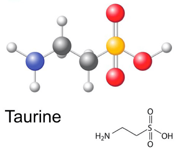 Taurin, şaşırtıcı bir amino asit