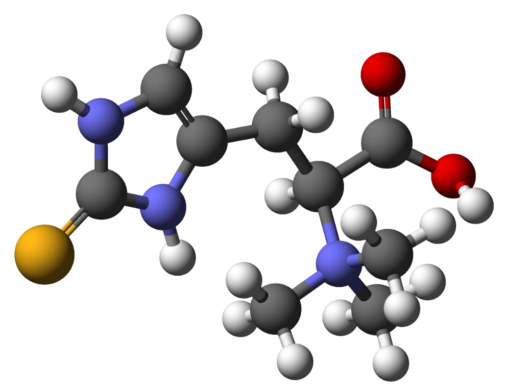 ההשפעה המדהימה של ארגותיונין על תוחלת החיים והשיפור הקוגניטיבי
